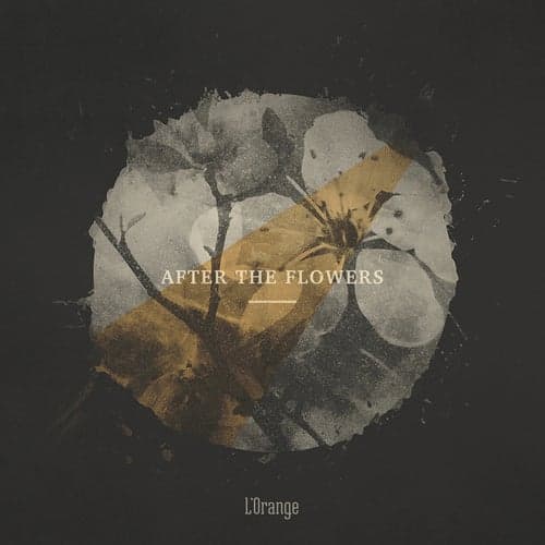 After the Flowers - EP