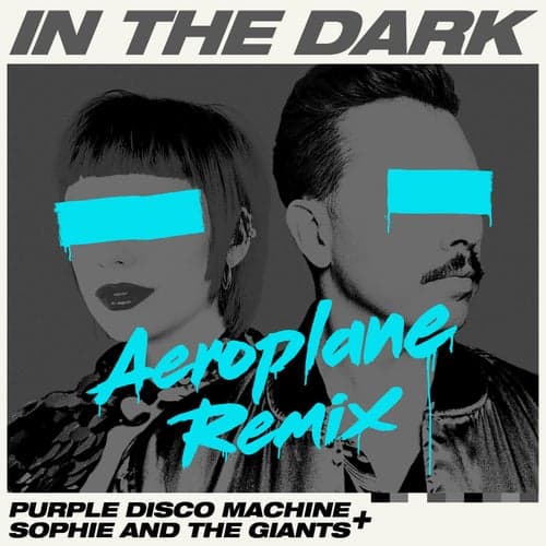 In the Dark (Aeroplane Remix)