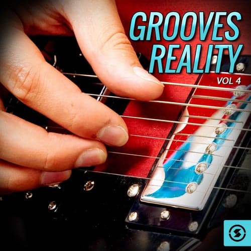 Grooves Reality, Vol. 4