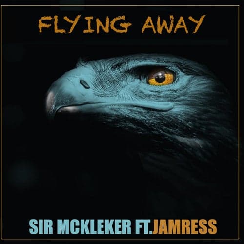 Flying Away (feat. Jamress)