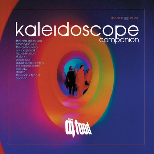 Kaleidoscope Companion