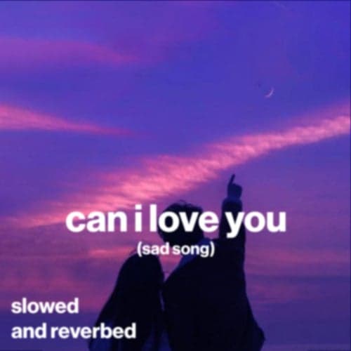 can i love you (sad song) (slowed and reverb)