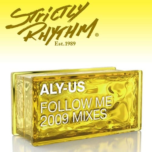 Follow Me (2009 Mixes)