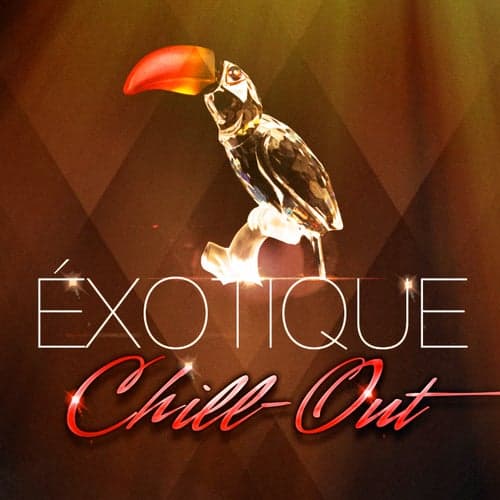 Chill-out exotique (50 chansons qui fusionnent chill-out et musiques du monde)