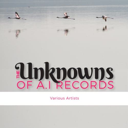 The Unknowns of A.I Records