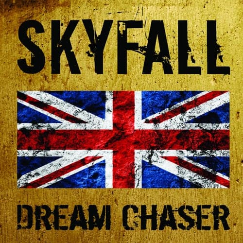 Skyfall (Trip Hop Remix)