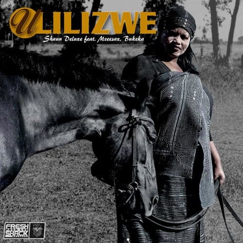 Ulilizwe (feat. Bukeka & Mzeesax)