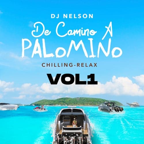 De Camino A Palomino, Vol. 1