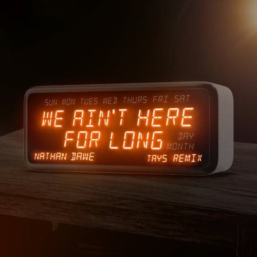 We Ain't Here For Long (Tays Remix)