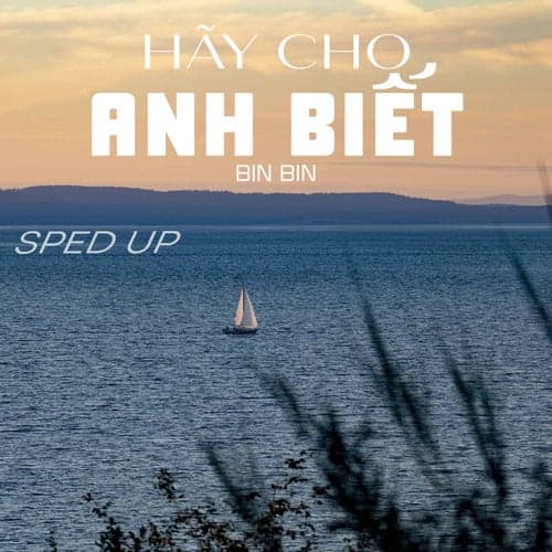 Hãy Cho Anh Biết (Sped Up)