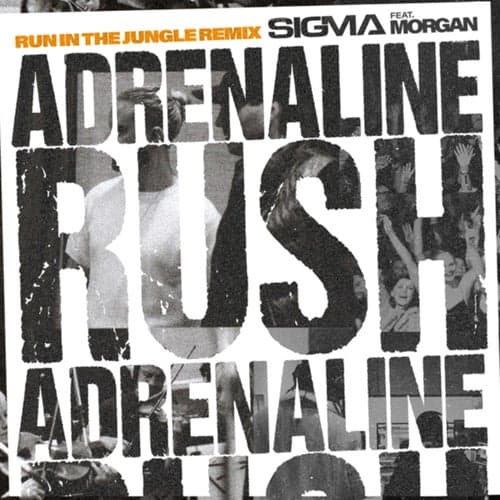 Adrenaline Rush (Run In The Jungle Remix)