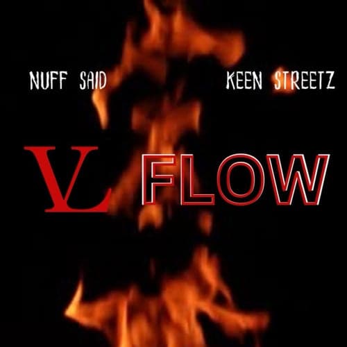 VL Flow