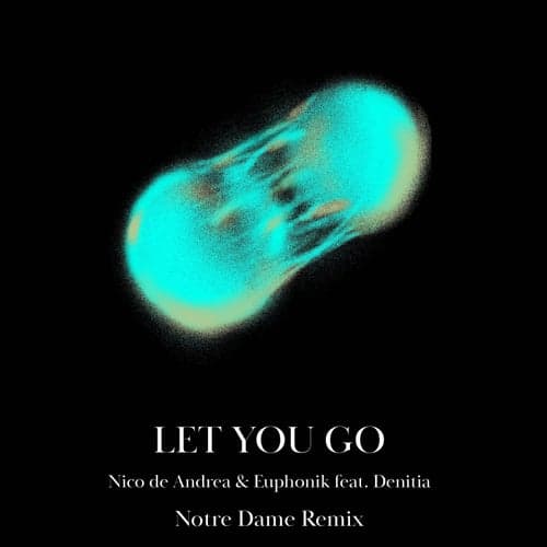 Let You Go (Notre Dame Remix)