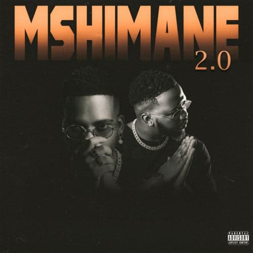 Mshimane 2.0