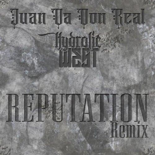 Reputation (Remix) [feat. Hydrolic West]