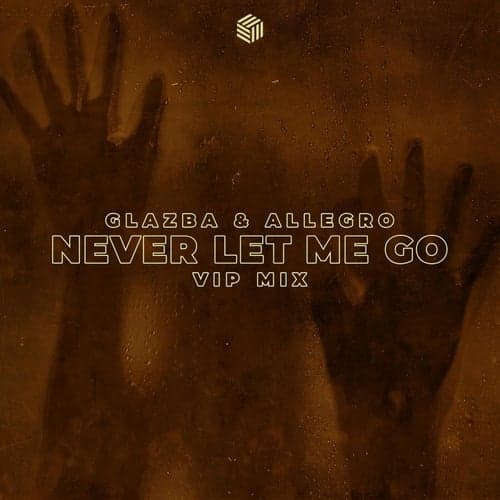 Never Let Me Go (VIP Mix)