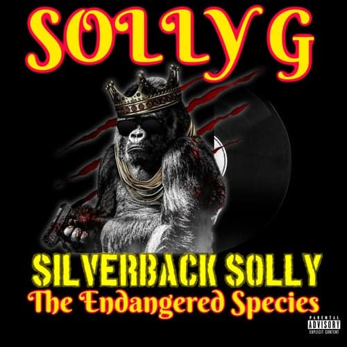 Silverback Solly