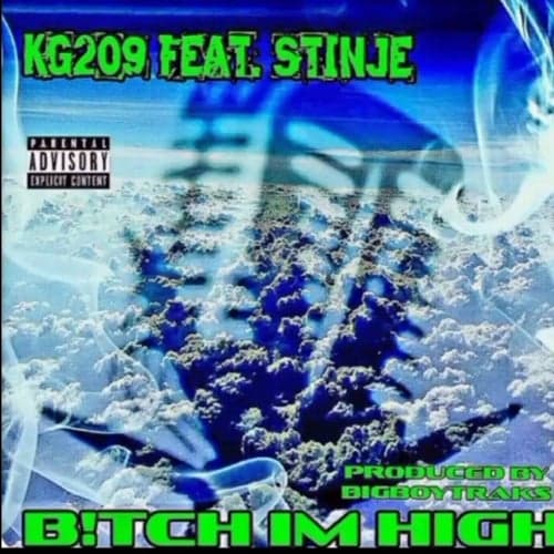 Bitch Im High (feat. Stinje)