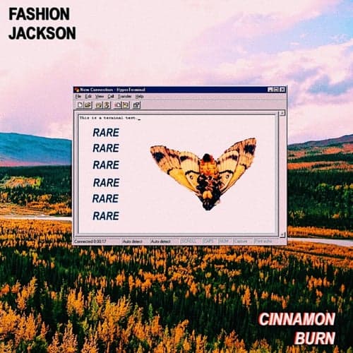 Cinnamon Burn (feat. JARA)