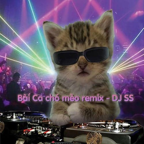 Bài Ca Chó Mèo (DJ SS Remix)