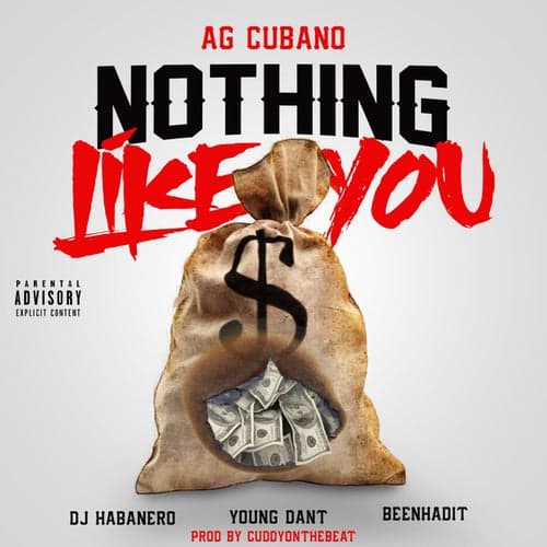 Nothing Like You (feat. Dj Habanero, Young Dant & Beenhadit)