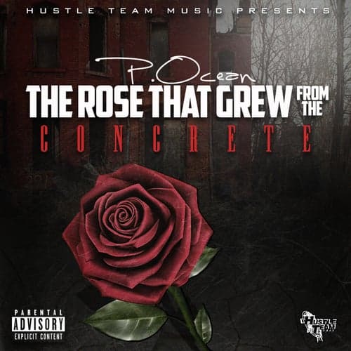 The Rose That Grew from the Concrete