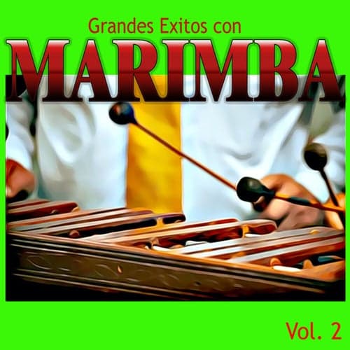 Grandes Exitos Con MARIMBA,Vol.2