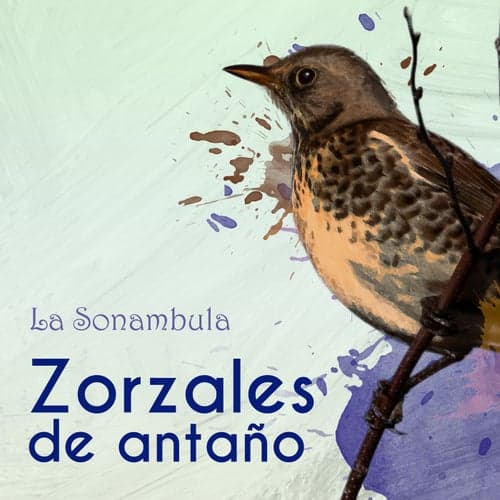 Zorzales de Antaño… La Sonambula