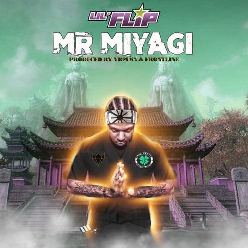Mr Miyagi