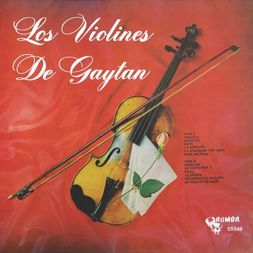 Los Violines De Gaytan