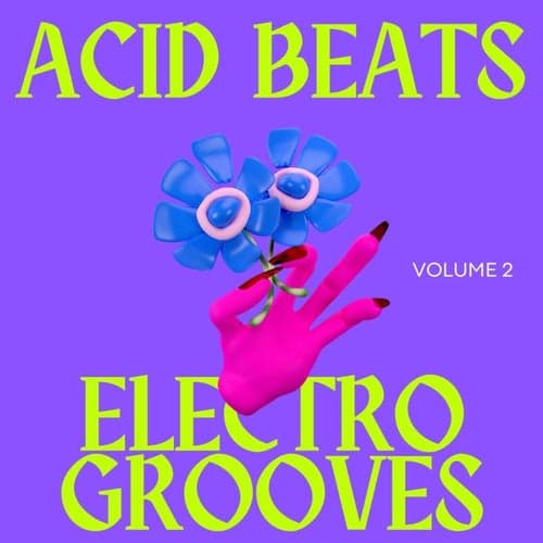 Acid Beats Electro Grooves, Vol.2