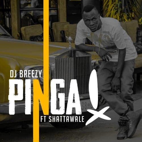 Pinga (feat. Shatta Wale)