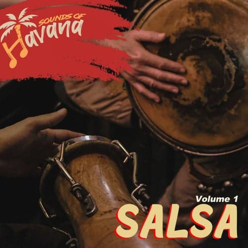 Salsa, Vol.1