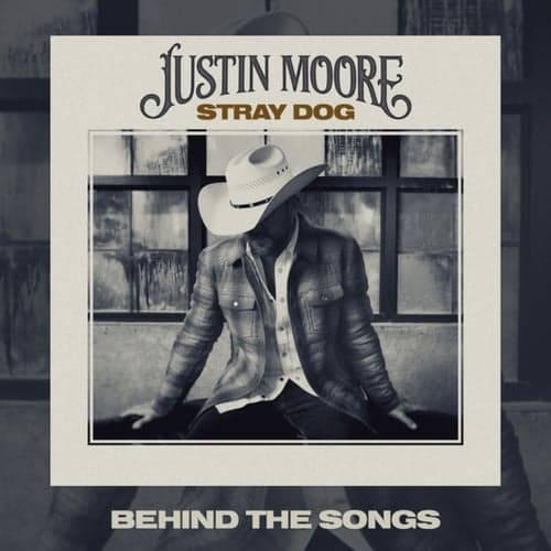 Stray Dog (Behind The Songs)