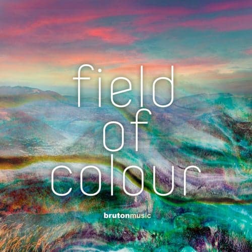 Field Of Colour