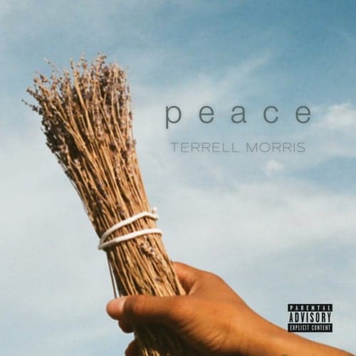 Peace (feat. Ro Joaquim)