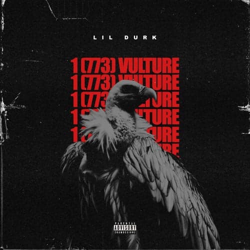 1(773) Vulture
