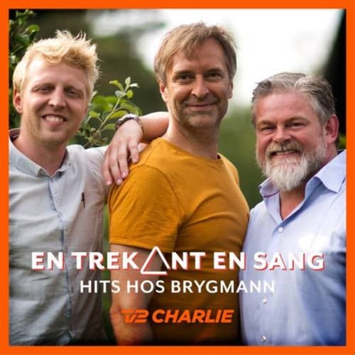 En Trekant En Sang 1 - Hits Hos Brygmann