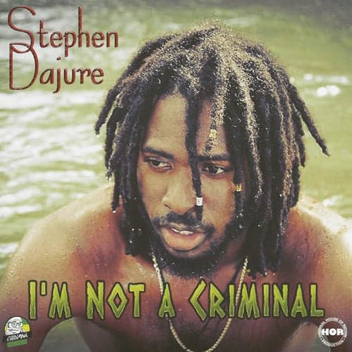 I'm Not a Criminal