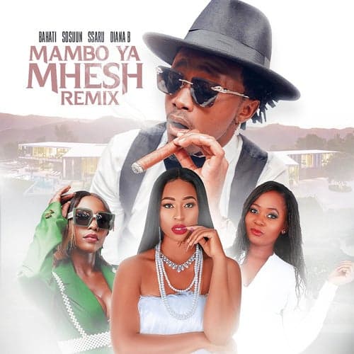 Mambo ya Mhesh (feat. Sosuun, Ssaru & Diana B) [Remix]