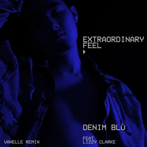 Extraordinary Feel (Vanelle Remix)