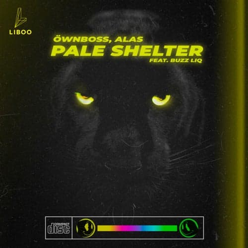 Pale Shelter (Radio Edit)