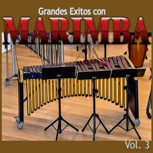 Grandes Exitos Con MARIMBA, Vol.3