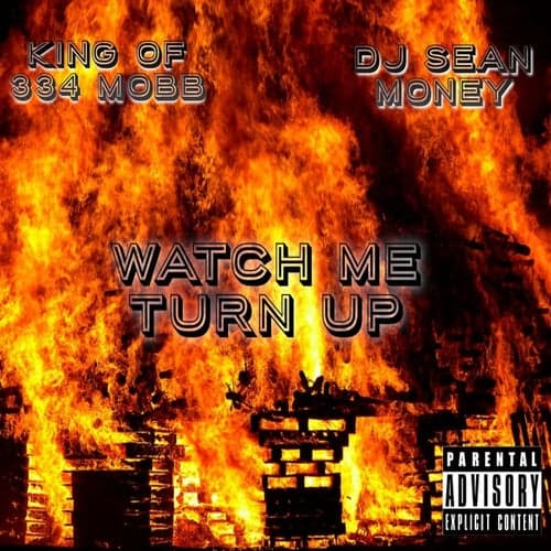 Watch Me Turn Up (feat. Waka Flocka Flame & DJ Sean Money)