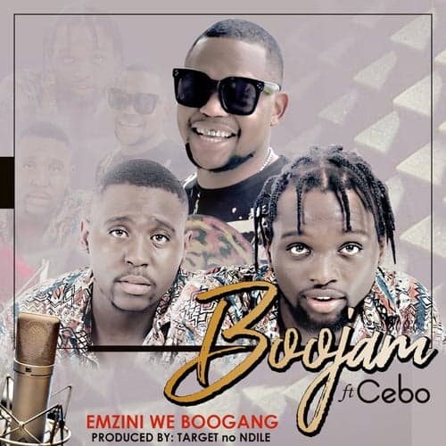 Emzini We BooGang (feat. Cebo)
