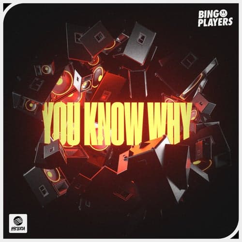 You Know Why (Extended Mix)