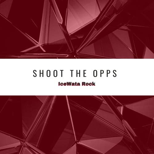 Shoot The Opps