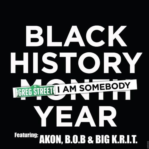 I Am Somebody (feat. Akon, B.o.B & Big K.R.I.T.) - Single