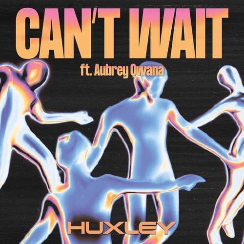 Can't Wait (Extended Mix)