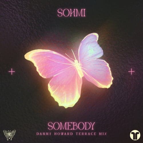 Somebody (Danny Howard Terrace Extended Mix)
